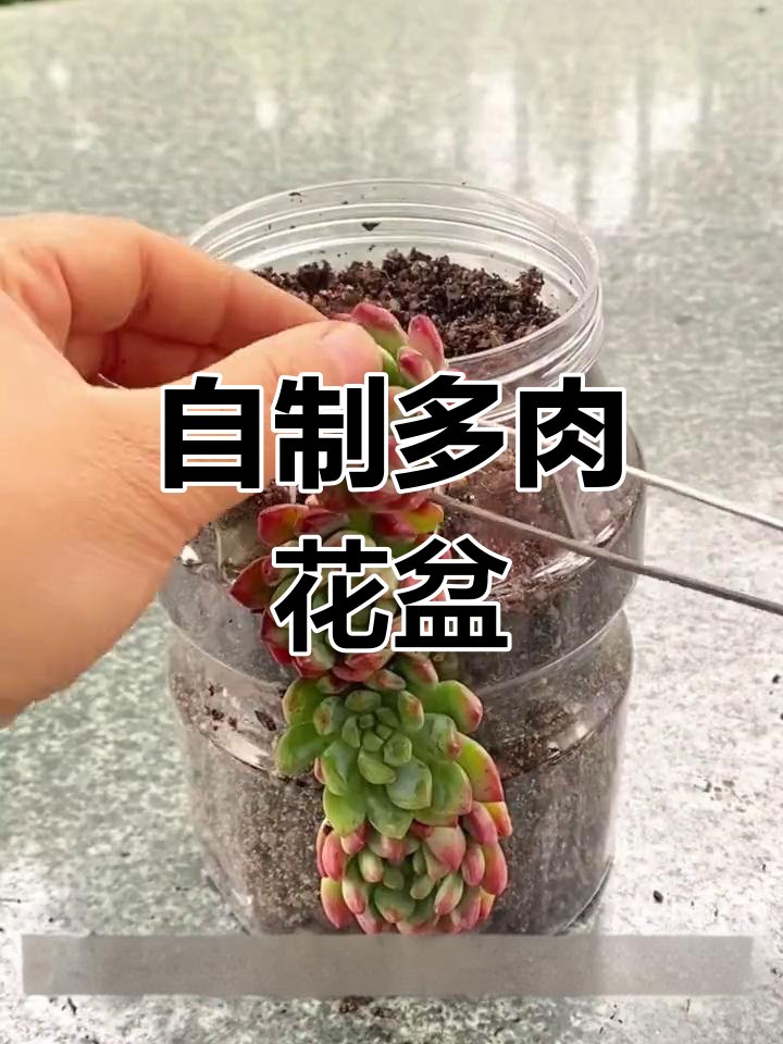 ddojaovo's tweet photo. Turn old glass jars into adorable mini planters! Added some twine u0026 cute succulents, instant cozy home decor on a budget. https://t.co/xOfyE0gfrb
