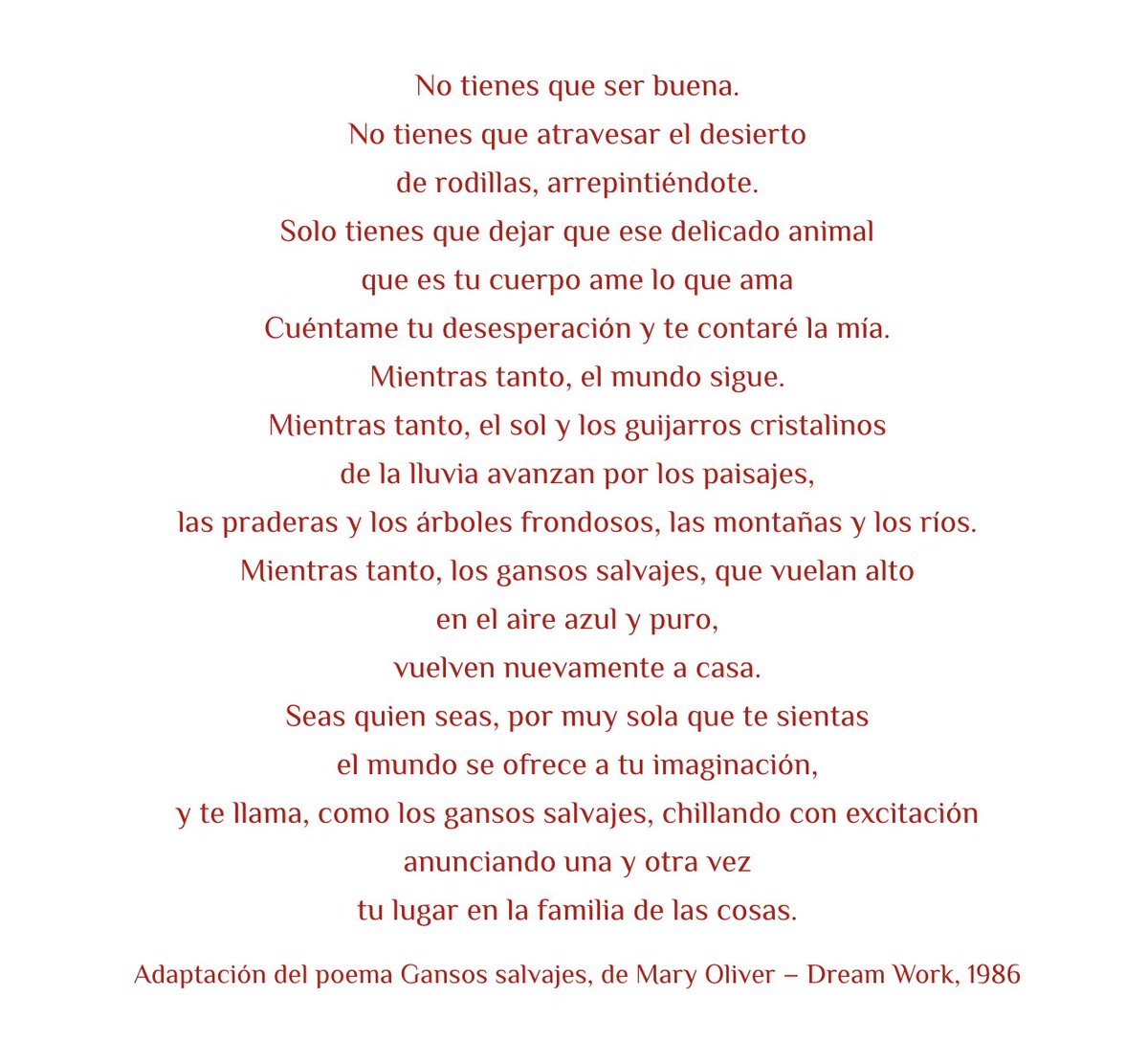 verocosmica's tweet photo. Mary Oliver me aniquiló por completo y no he sido capaz de recuperarme tras leer:

«No tienes que ser buena. 
No tienes que atravesar el desierto de rodillas, arrepintiéndote». https://t.co/1nGpVIuZRH