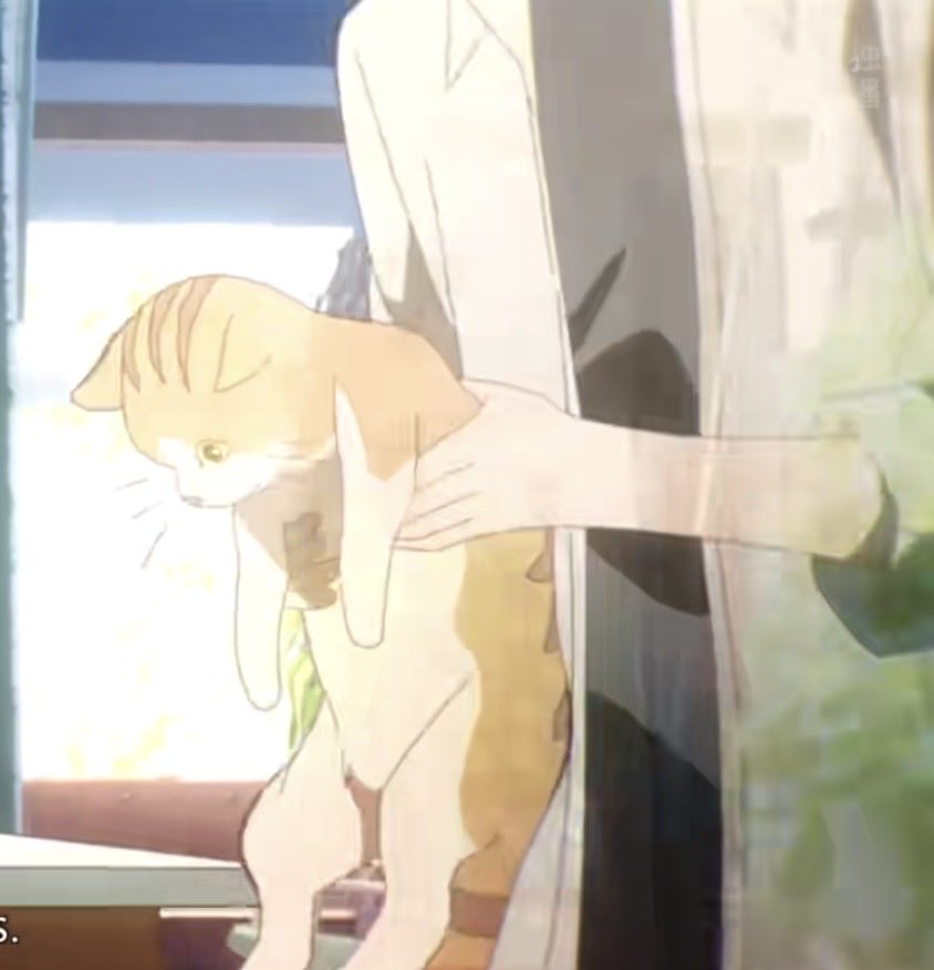 Lave__na7's tweet photo. 英都篇小劇場2話に出てくるこの茶色の猫は伊丽莎白(エリザベス)。名付け親は陆光。1期小劇場でトキが写真館の前で見つけた近所の家の子猫。2期1話の回想シーンでは等身大のヒカルとエリザベスを見られます。動物のトキとヒカルもエリザベスの面倒を見ている。 https://t.co/FegHESPcdo