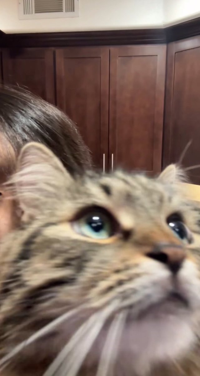 rheaofsaturn's tweet photo. peabutt taxxx😍😍🥰 https://t.co/2M4C4XzGrI
