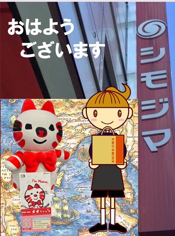 shimojima_jp's tweet photo. ＼おはようございます☀️／
7月22日水曜日　🛍️🌻🎁

週の真ん中水曜日🌻
(包装紙柄エデンをバックに)

暑さに気をつけながら
今日もよろしくお願いします🙇

販促課シモ子＆メメがご案内します📦
#シモジマ #パッケージプラザ https://t.co/BBQd0PQeTg