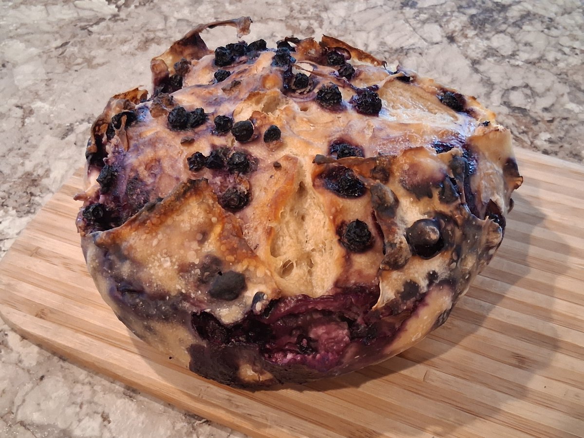 muddlinthrulife's tweet photo. Sourdough Blueberry Cram Cheese Bread. I cannot wait to cut into this! 😋 https://t.co/UQnwtoksZ2
