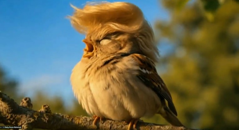 Pitchfork350's tweet photo. @SantaFeBluebird 

Jus for You  

🫡🌻🤠😘 https://t.co/vSTBXnHXes