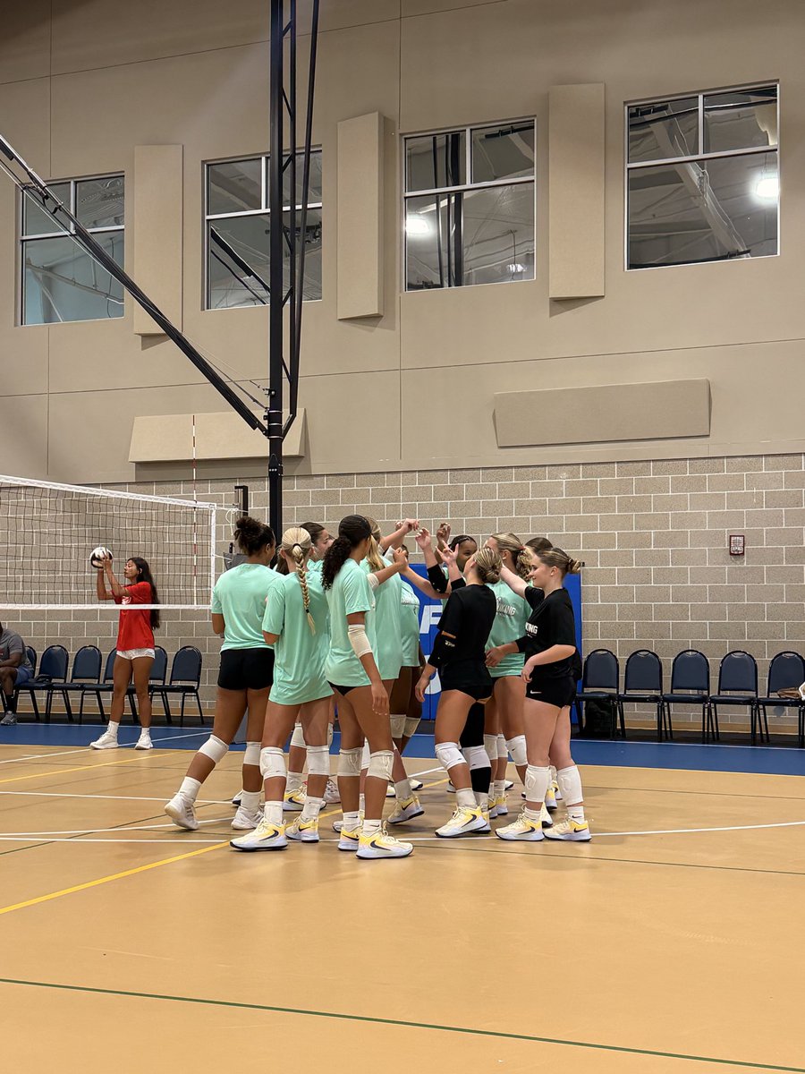 JasperVikingsVB's tweet photo. Successful beach play date! 🤍🏝️ https://t.co/T0bmRzbxMh