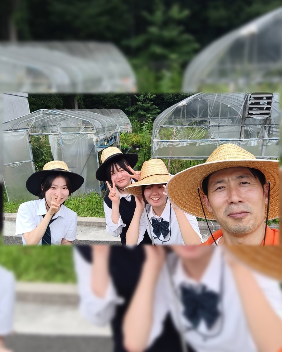 摂南大学薬学部 (@setsunan_pharm) / Posts / X