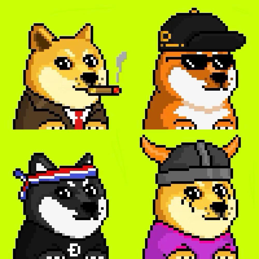 Muchwowd's tweet photo. GM Doge Shiba Cocoro Floki 🚀🌕🐕 https://t.co/JvKjsZGbEM