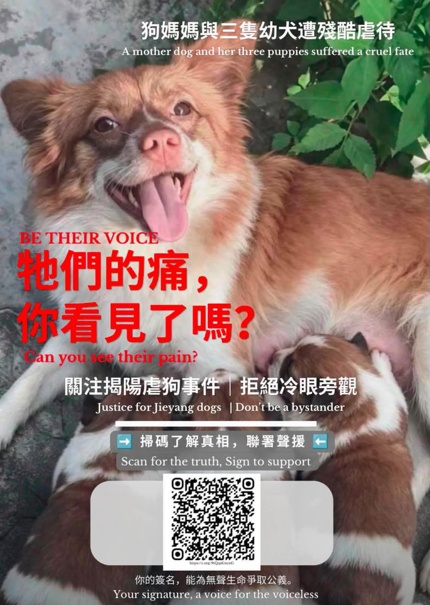 feilung_lau's tweet photo. https://t.co/PZ7mNzGdVU