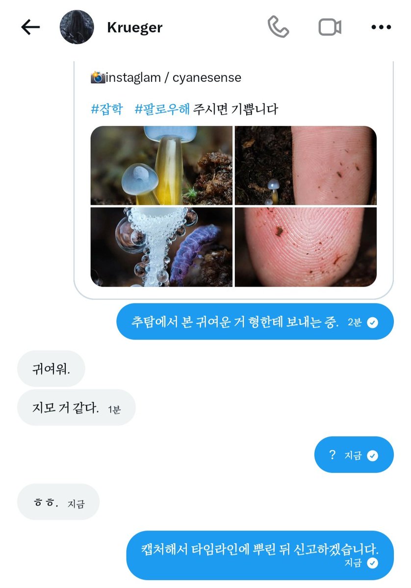 SGzimo's tweet photo. 신고합니다. https://t.co/qeNjR3jggQ