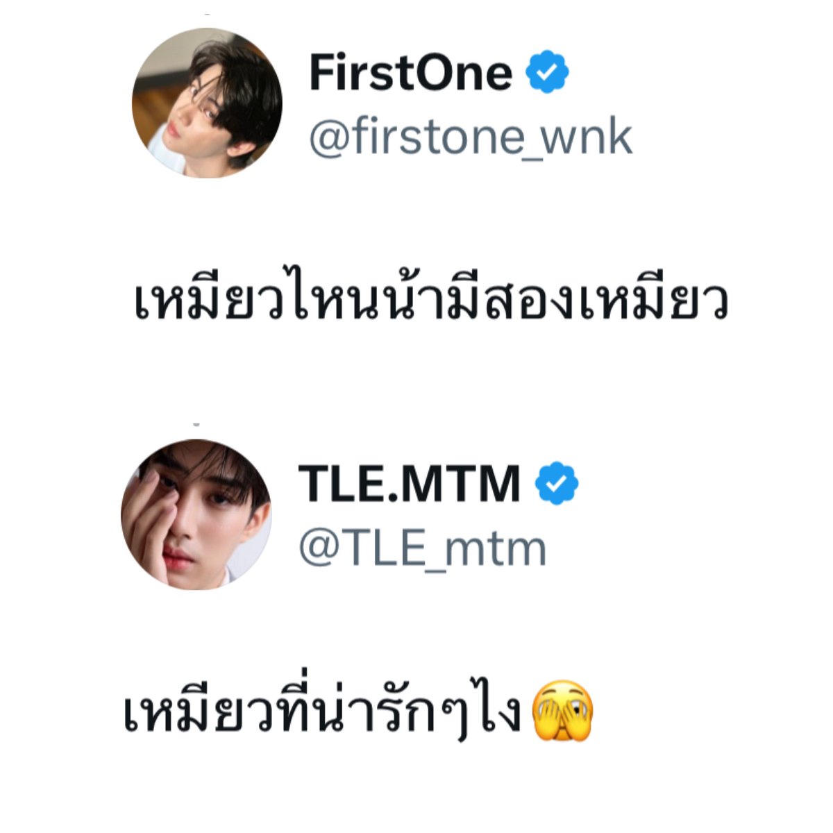 emflaek's tweet photo. นึกถึงเมนชั่นเติ้ลเฟิร์สวันคลิปนั้นเลยยยย กลิ่นเดียวกันมาก ฮึกฮือออออออ สายตาฮีเติ้ลเคยเอ็นดูยังไงก็ยังคงเอ็นดูอย่างงั้น พี่ไม่เปลี่ยนหรอก😭😭😭😭😭😭

#TleFirstone #เติ้ลเฟิร์สวัน https://t.co/KR3oNoTV6S
