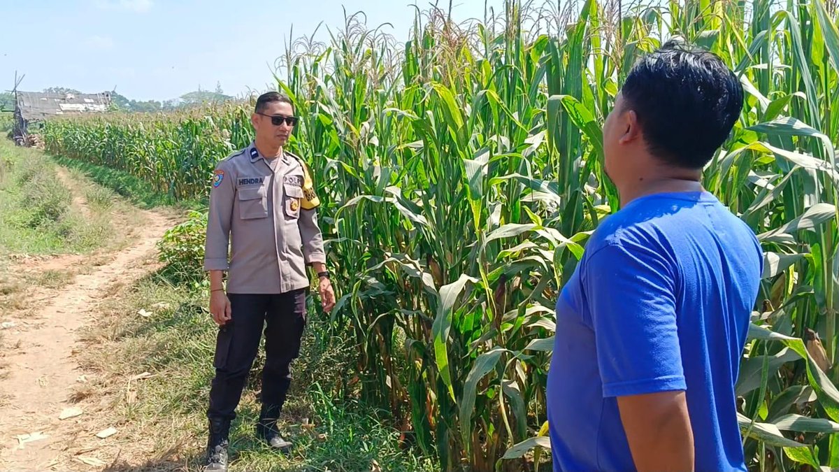 PolresWuluhan's tweet photo. #astacita #swasembadapangan #polisicintatani #polripresisi #ketahananpangan #ketahananpanganpoldajatim #ssdmpolri #divhumaspolri #birosdmpoldajatim #bidhumaspoldajatim #polresjember #jember https://t.co/z2RhseKOuj