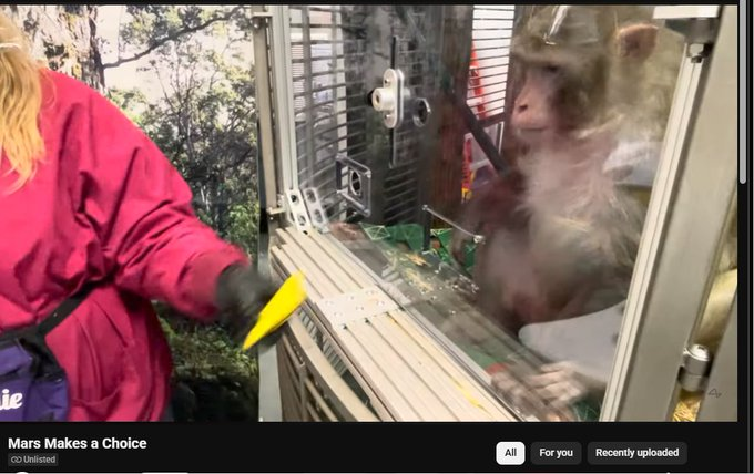 Gh0stDotSol's tweet photo. Hello?!?!??!!

Neuralink has gatekept a monkey called MARS for YEARS

Mars is a monkey with a neuralink chip in its brain

PLEASE VERIFY YOURSELF:

OFFICIAL NEURALINK YOUTUBE:
https://t.co/WfcBpgzyfR
https://t.co/ISvyY2yW17

OFFICIAL WEBSITE:
https://t.co/4IW47RtYAI https://t.co/lotDYO3z2w