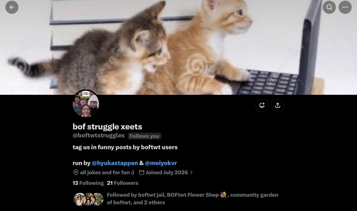 boftwt community pool tweet media