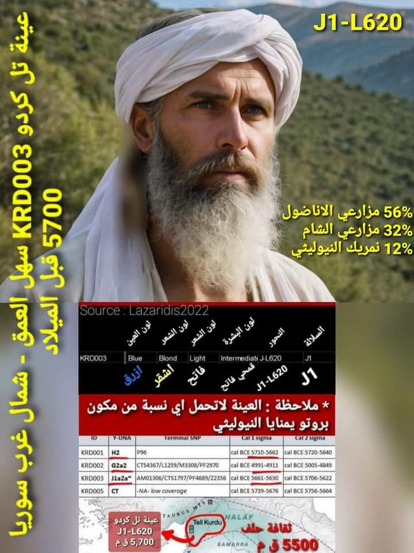 CrusaderWi73053's tweet photo. I am a Euro sublineage of J1 which was originally from Trojans or one of the Greek/non-greek sea peoples (they all were genetically close anyway) who went to Rome/Lazio with Trojans. They became Italian after mixing with the Italics. Y-DNA J=Greatest White Supremacist lineage. https://t.co/4YDGJ17hAu