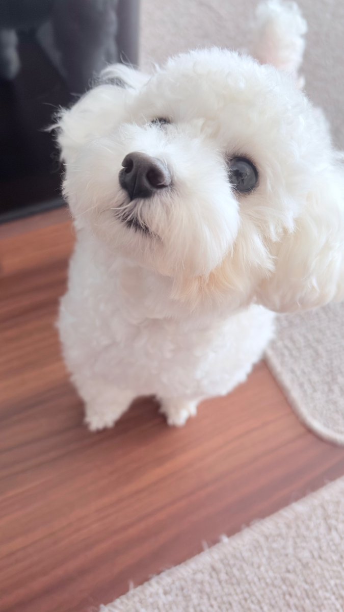 kogumatokogumi's tweet photo. 週末たくさん遊んだから、疲れてるんじゃない？
お仕事お休みする？ https://t.co/onyzDcm9B0