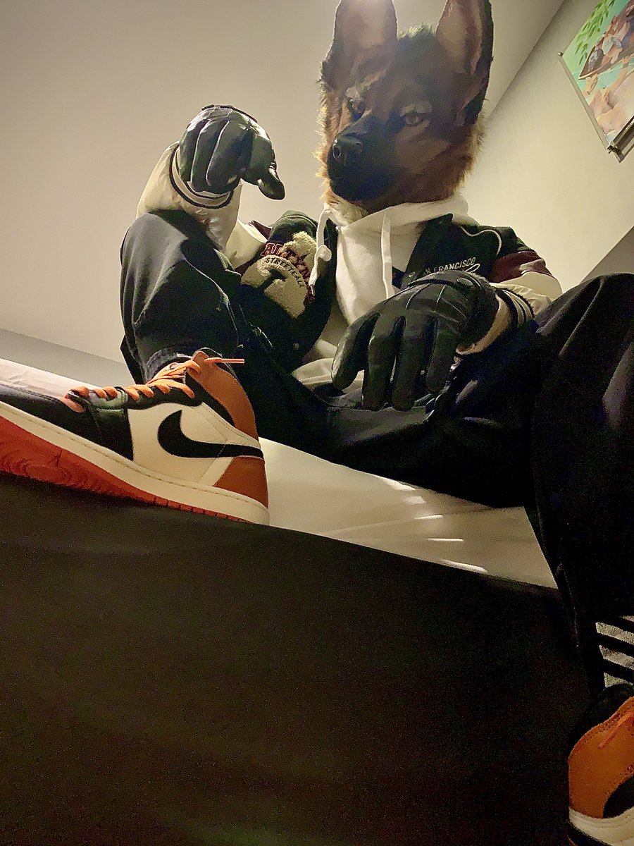 FlickySheppy's tweet photo. You good down there? https://t.co/60yIQln1jC