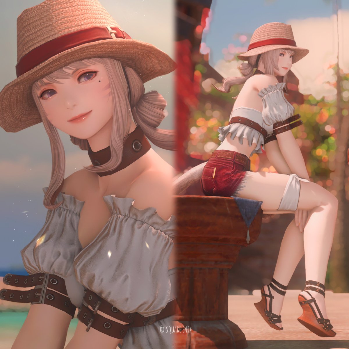 86Miqo_ff14's tweet photo. 🌴☀️

#ミコッテ https://t.co/0km77rzbgK