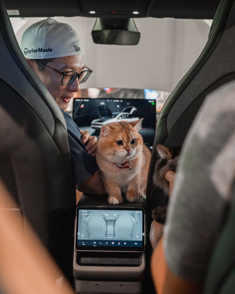 emteslai's tweet photo. Cats 🐱 loves Tesla too https://t.co/X16wdZJZvg