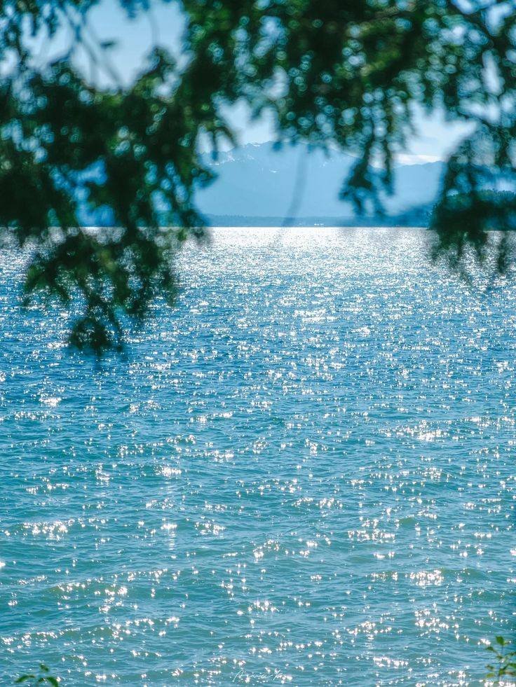 naturehealyou's tweet photo. the calmest shade of blue https://t.co/PJxosR0fcG