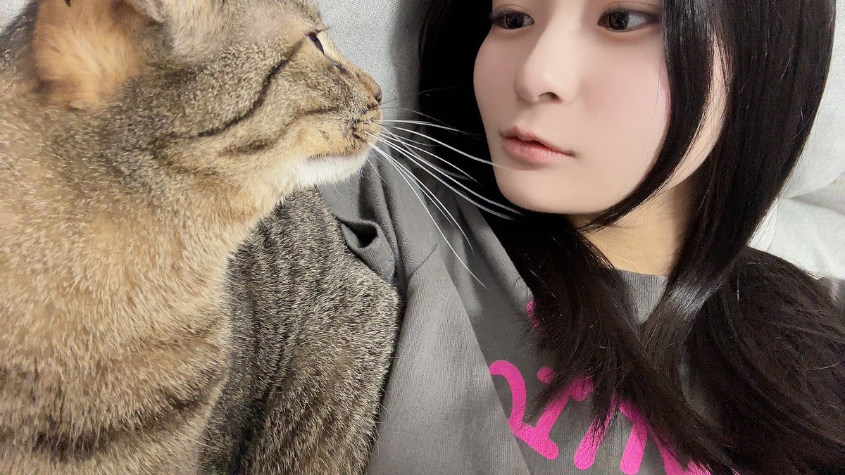 ayami_namba48's tweet photo. おはよ~🐱

なんか可愛いのいたから撮ってたら目が合った

#NMB48 #彩り実らせ隊 https://t.co/vUTI3JaSBw