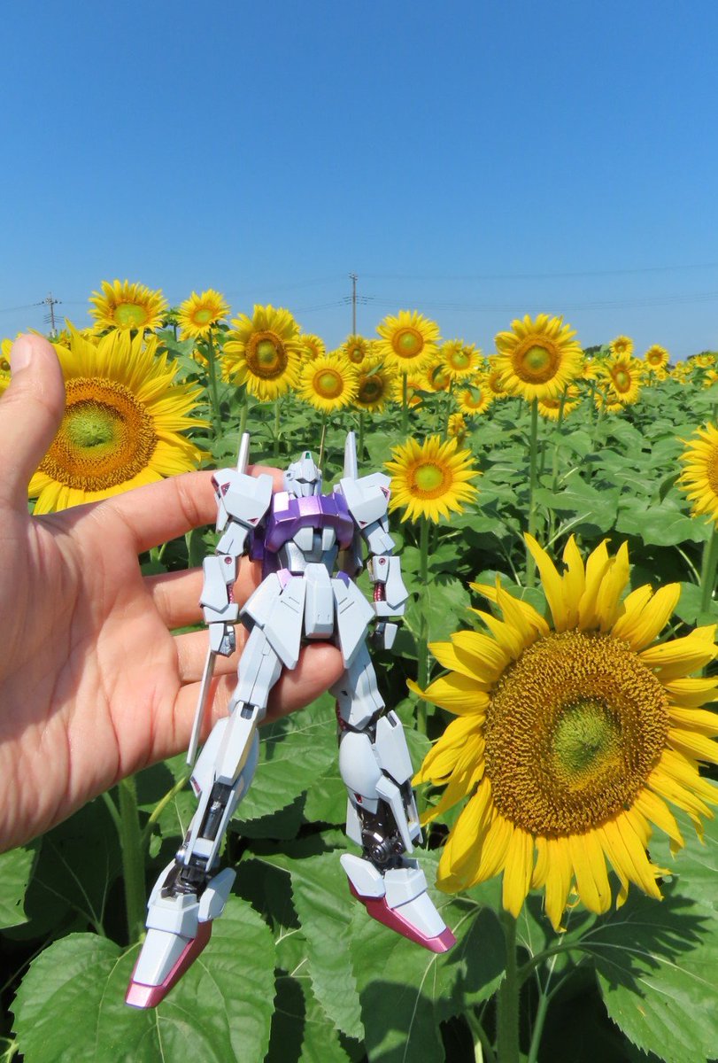 白式とひまわり #ガンプラ