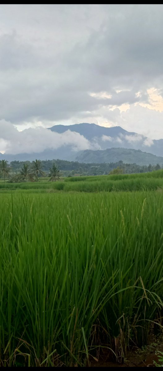 combisaxect's tweet photo. Pagi yang indah dimulai dengan mengingat Allah. Alhamdulillah atas segala rejeki yang telah diberikan. Semoga doa pagi hari ini membawa berkah, rezeki lancar, dan hati selalu tenang. Aamiin. 🤲
#DoaPagi #PagiBerkah #Islam #MotivasiPagi https://t.co/kgHbXWDsRh