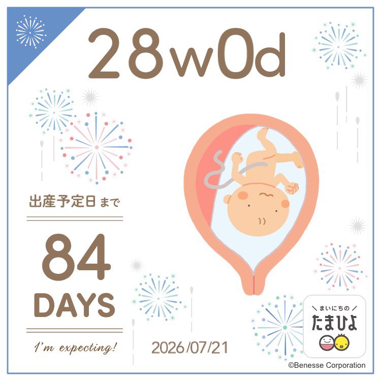 inupanic's tweet photo. 28w！妊娠後期だー！ https://t.co/QF1FQqyRKs