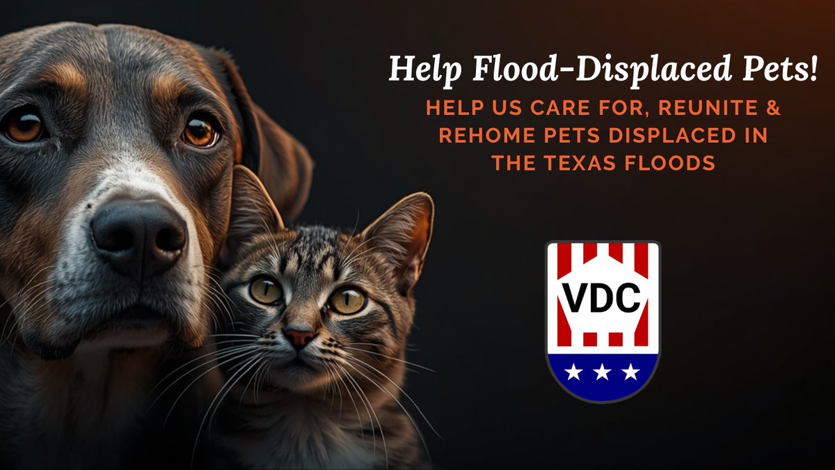 VeteransDisasterCorps tweet media
