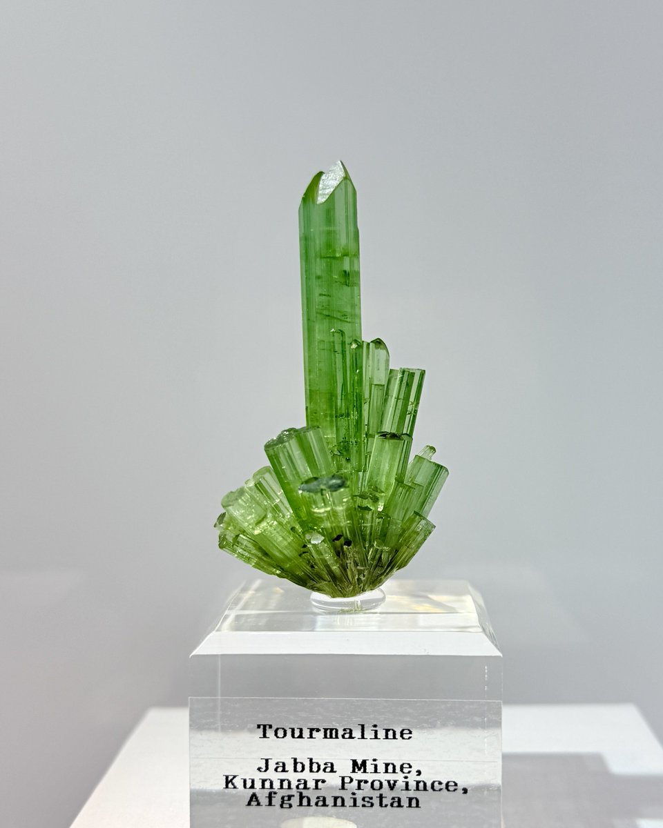 AAtractosteus's tweet photo. 門松に見えてきたトルマリン🎍 https://t.co/uTg0NKqAMd
