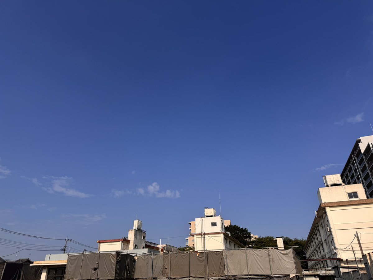 kouji1425's tweet photo. おはようございます(^O^)／
7/21 7:45 東京都下は気温30.0℃湿度72% 雲は多めですが良いお天気で朝から真夏日で蒸し暑いですね〜🥵
熱中症🥵には十分お気をつけください🙇‍♀️
今日も笑顔で楽しい一日をお過ごしください(^-^)v
#イマソラ #いまそら #青愛会 #花彩華 https://t.co/m6qxBG0VDZ