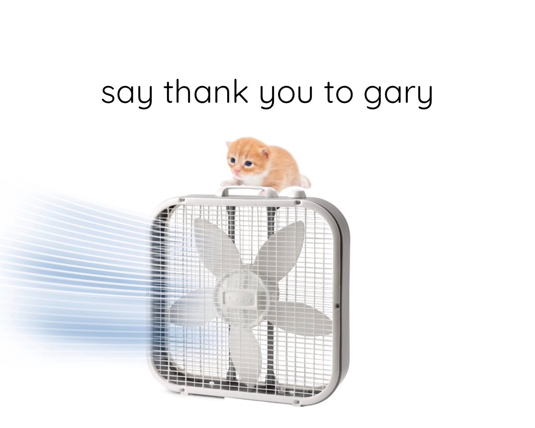 thankyougary__'s tweet photo. https://t.co/NyndnTdiin