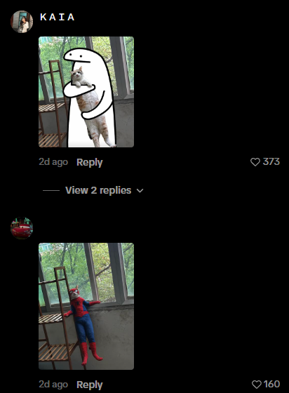 robert_thedev_'s tweet photo. I just found the next animal runner 

chillcat
xiao

this cat is going super viral on tiktok and instagram right now with tons of comments putting it in different outfits and memes 

https://t.co/2ZA6MGjZs9

over 3 million views and likes in just a few days 
hundreds of memes in the comments