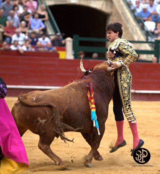 forostoreros's tweet photo. ¡Buenos días! #FelizMartesATodos 
¡S🐂M🐂S ✴️ C⭐️M🌟P✨N💫S!
Roca Rey en Valencia, 2016, cogido al entrar a matar a su segundo toro; ya tenía dos orejas. Ganó otra oreja. 
https://t.co/lHY3KSVqno 
Los toros son así: a centímetro del peligro y todo el tiempo. ¡Que tengáis un gran día!