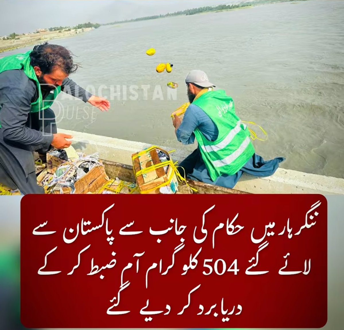 جہانزیب مغل 🏴🇵🇰🔻🇸🇦🏳️‍ tweet media