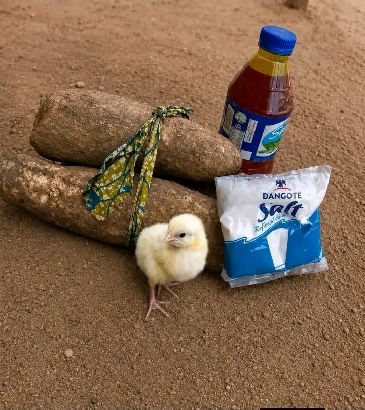 megabiz247's tweet photo. @yenyenpurehoney I dey available I dey carry bride price dey show una house 🫣 https://t.co/hUYIUu02Ll