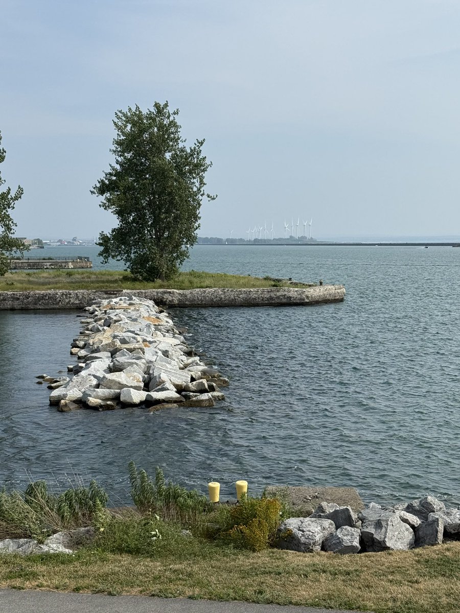 BmoreSparrow's tweet photo. I Love My Hometown! Buffalo, NY 💕💕 I feel like whenever I am here, the people just breathe life back into me &amp; remind me who I really am. #SingleGirlTravels #SpinsterLife #Buffalove https://t.co/XAoXbJmWWo