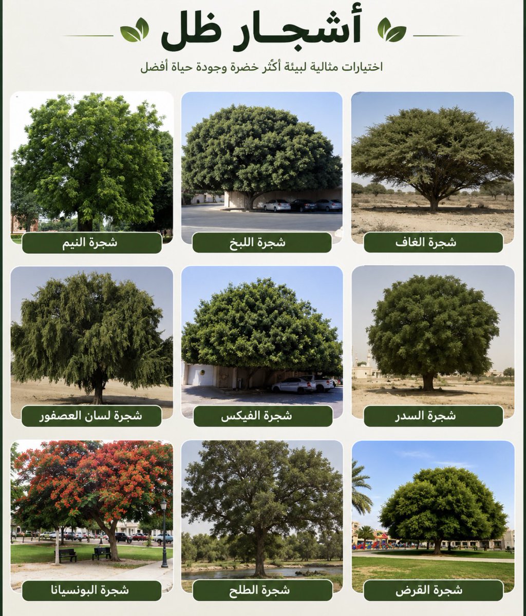 karemhamd92's tweet photo. مع موسم زراعة الأشجار القادم

أقترح إطلاق حملة وطنية لزراعة " الأشجار الكبيرة " في الأحياء السكنية، بهدف توفير مظلة نباتية، وخفض درجات الحرارة، وتعزيز الزراعة المستدامة، وتحسين المشهد الحضري وجودة الحياة.

ويمكن للجهات المعنية اعتماد أنواع مناسبة لكل حي وفقًا لطبيعة الموقع والبيئة، وقد جمعت نماذج لأشجار مناسبة يمكن الاستفادة منها ضمن الحملة.

#تشجير_الأحياء_السكنية