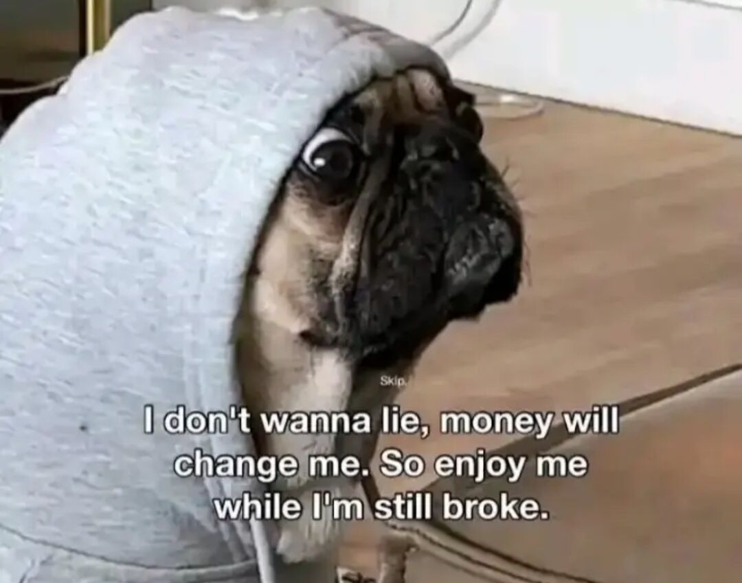 WholesomeMeme's tweet photo. https://t.co/Y5vGizQvyr