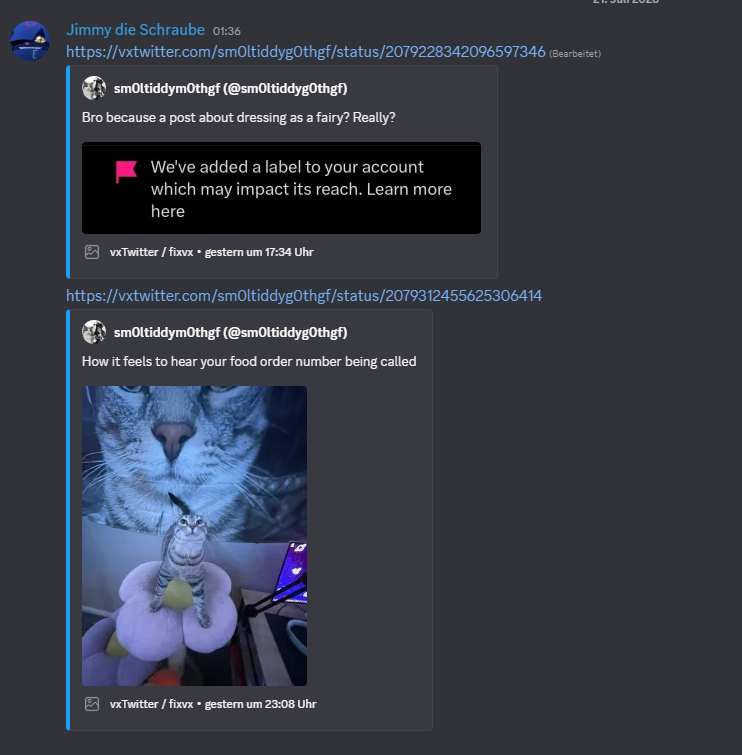 NicoMFT_01's tweet photo. @HayasakeSpeedy @sm0ltiddyg0thgf I send them to myself on my empty discord server with the vxtwitter embed https://t.co/QUh0mjXZMj