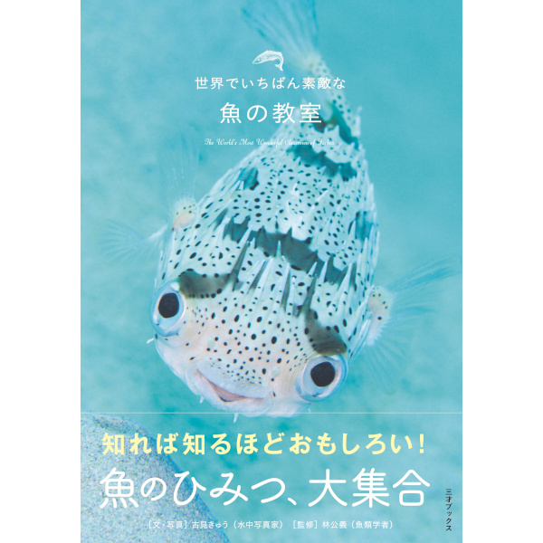 hoshi_kyoshitsu's tweet photo. 🐟本日発売🐟

『世界でいちばん素敵な魚の教室』

魚って、こんなにすごかったの!?
驚きの生態や不思議な能力を、水中写真家・古見きゅうさんによる美しい写真とQ&amp;Aで楽しく紹介。本文は総ルビなので、お子さんの夏休みの読書や自由研究にもおすすめです！

https://t.co/jDmhHzwi7B https://t.co/94Fd097YYa
