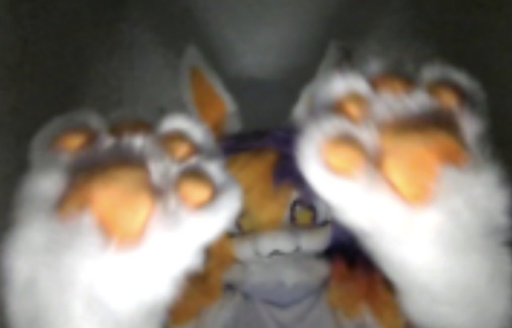 PetraPiean's tweet photo. im evil https://t.co/WfL1MeU6Vc