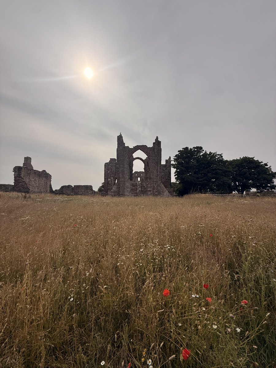GretelleMaitre's tweet photo. Lindisfarne.  Missing it all already. https://t.co/BlFhVykeST