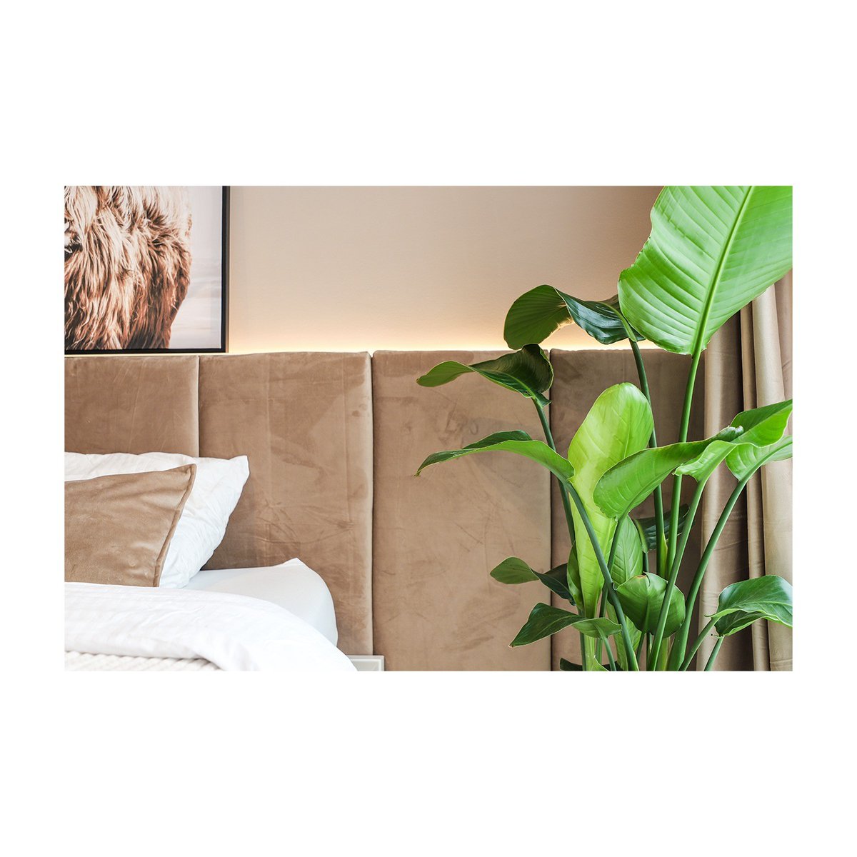 ateliermudi's tweet photo. Apartament de vacanta in Bari, proiect finalizat, 2025.

Proiect in stil eclectic, realizat la distanta si implementat cu multa implicare de catre beneficiari pe baza planurilor si a randarilor.

styling&amp;photo @anamaria.corbean 

.… https://t.co/HK10UVUtkY