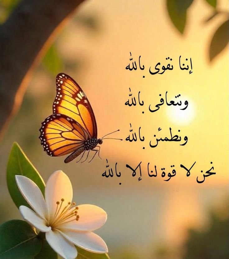 Naa_reman's tweet photo. 🦋 
".. لا تخشَ دُنياكَ إنّ الله كـافلها.. "☕🌼🦋 https://t.co/4lB4qt6F2I