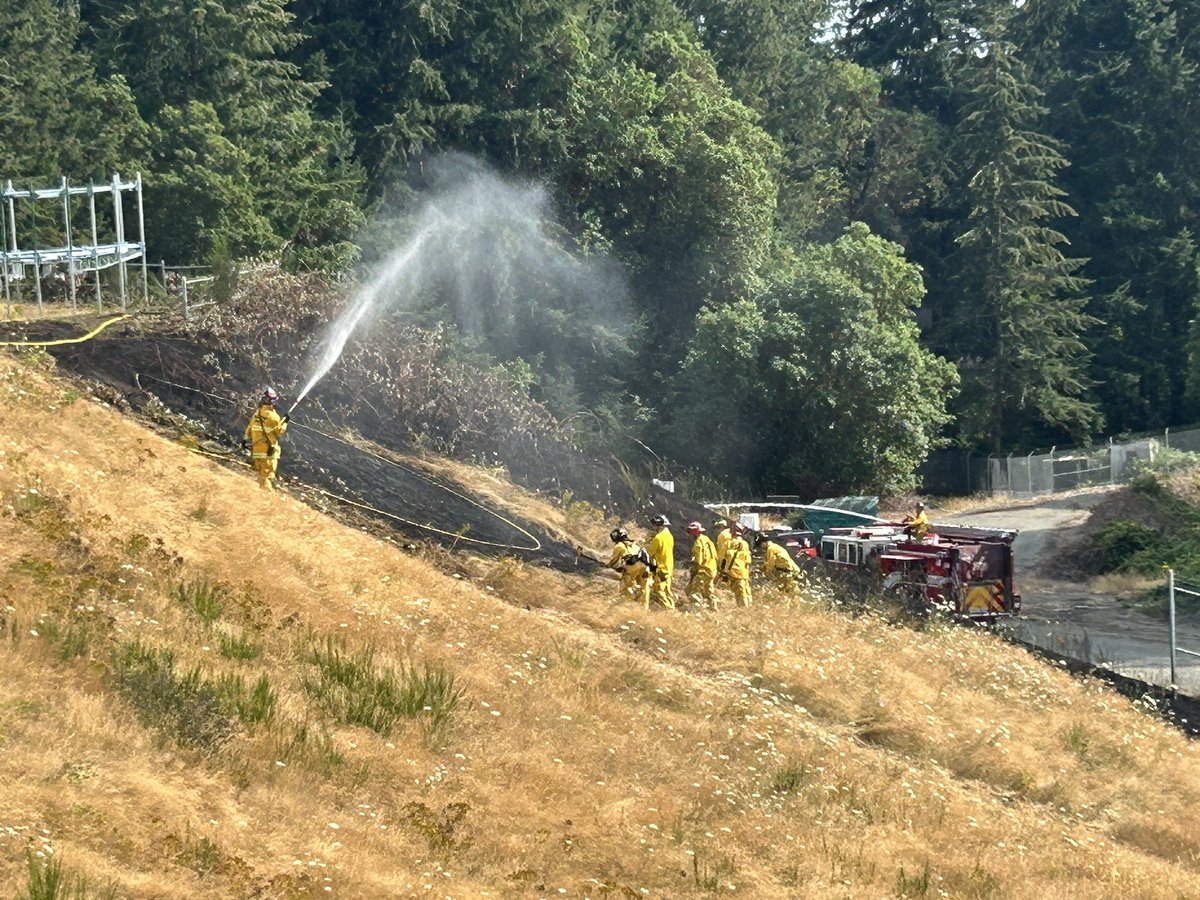 GigHarborFire's tweet photo. GHFMO crews responded to a small brush fire near the Tacoma Narrows Airport at approximately 3:48 p.m. Firefighters quickly extinguished the fire, which burned about 100x100 feet. Crews remain on scene conducting overhaul to ensure all hot spots are out. https://t.co/5kPCvBSCcn