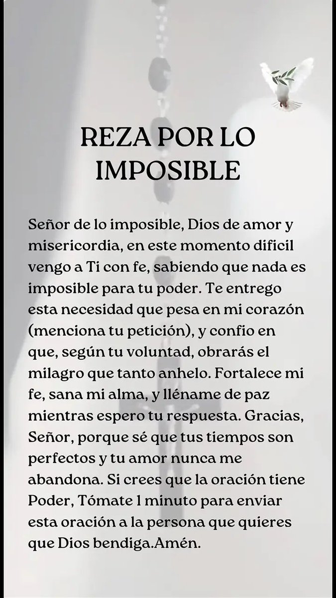 Osopolarluisito's tweet photo. RezA🤍PoR🤍Lo🤍
ImposiblE🤍🙏 https://t.co/n6n42eXL0Y