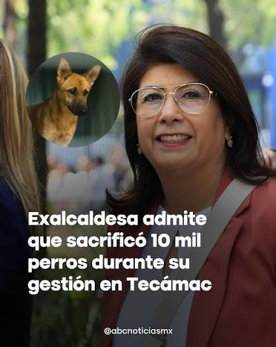 taller2006's tweet photo. >> Pedro Sola propuso matar perritos porque no le agradan <<

>> Mariela Gutierrez Senadora por morena admite que sacrificó a 10 mil perritos cuando fue alcaldesa en Teamac <<

A él casi, casi lo linchan por su comentario tan estúpido y bien merecida la funa. 
A ella... nada.