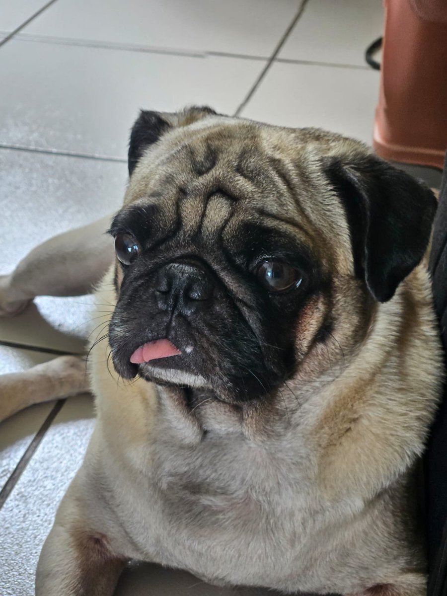 untilrm's tweet photo. pov: você abriu minha galeria https://t.co/7YfOOkejIL
