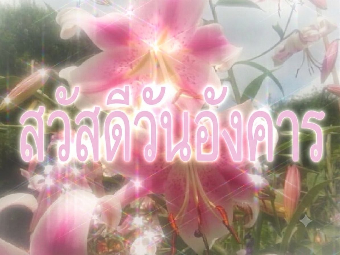ChawiChobReview's tweet photo. สวัสดีเช้าวันอังคารจ้าา https://t.co/gVbbcEifM6