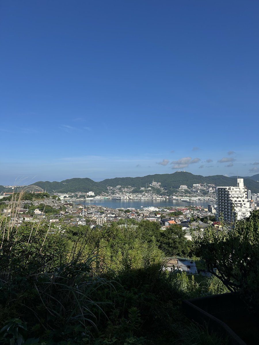 jobasu_7's tweet photo. #私のうつくしい

家の前の小路
おばあちゃん家の廊下
庭の花
秘密の場所から見る入り江 https://t.co/r7FMNoZtex