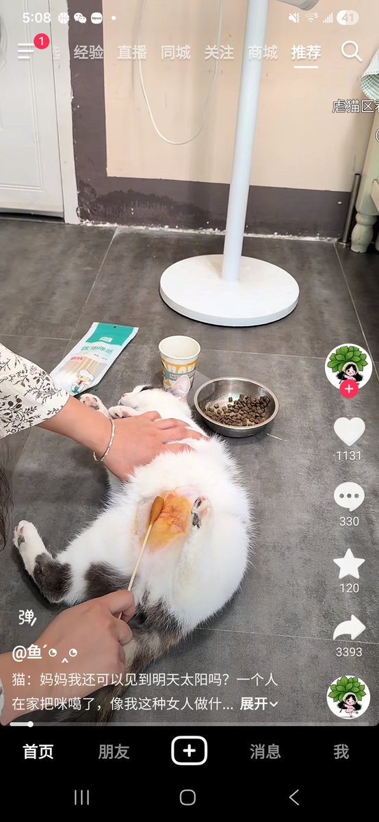 姜维客 tweet media